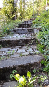 Treppe01